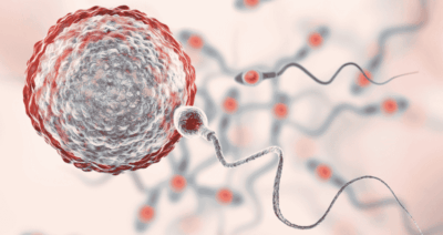 Illustration eines Spermiums auf dem Weg zur Eizelle – Symbolbild für Fortpflanzung durch Sexualität.