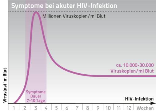 Verlauf der Viruslast und Symptome bei akuter HIV-Infektion: Fieber, Hautausschlag, Kopfschmerzen, Gelenkschmerzen, Lymphknotenschwellungen