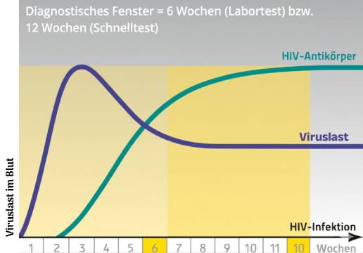 Grafik: HIV-Viruslast und Antikörper im Blut. Antikörper nachweisbar ab Woche 6 (Labortest) bzw. Woche 12 (Schnelltest).