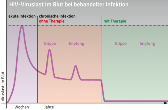 Grafik: Verlauf der HIV-Viruslast im Blut bei behandelter Infektion – mit und ohne Therapie im Vergleich.